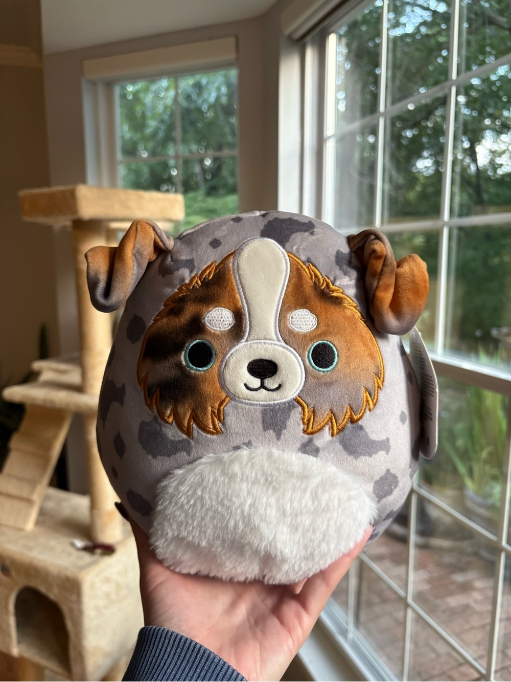 Raylor the Gray and Brown Dog squishmallow NWT 8in
